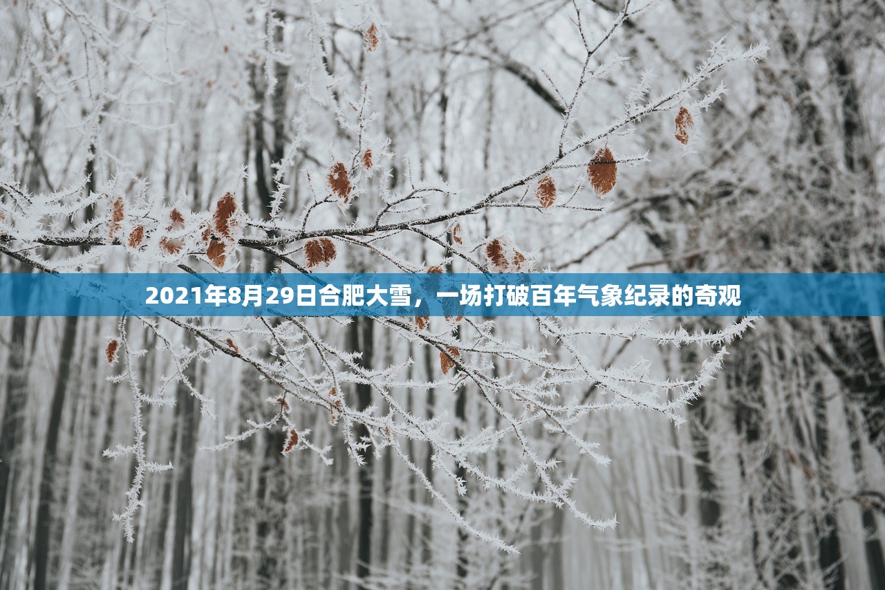 2021年8月29日合肥大雪，一场打破百年气象纪录的奇观
