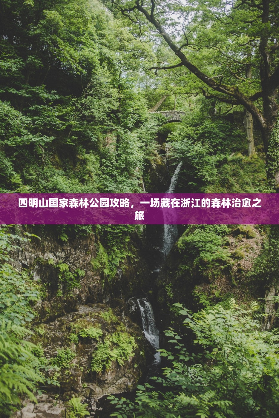 四明山国家森林公园攻略，一场藏在浙江的森林治愈之旅