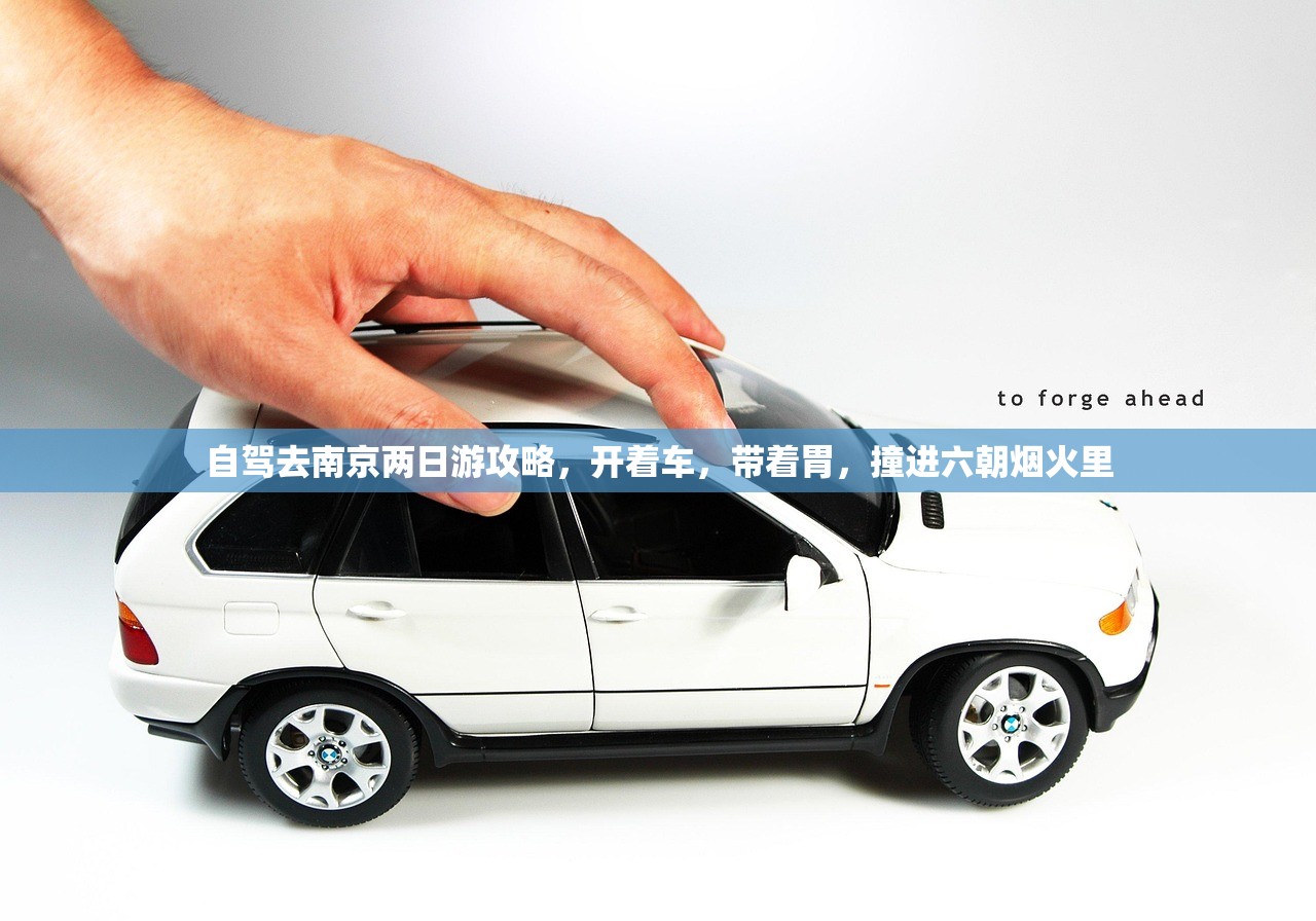 自驾去南京两日游攻略,开着车,带着胃,撞进六朝烟火里 自驾去南京两日游攻略,开着车,带着胃,撞进六朝烟火里