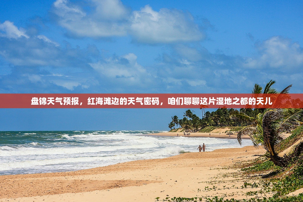 盘锦天气预报,红海滩边的天气密码,咱们聊聊这片湿地之都的天儿 盘锦天气预报,红海滩边的天气密码,咱们聊聊这片湿地之都的天儿