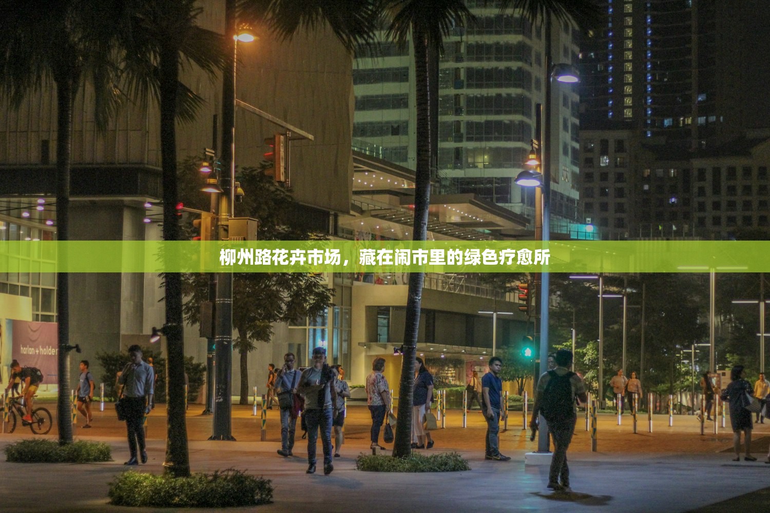 柳州路花卉市场,藏在闹市里的绿色疗愈所 柳州路花卉市场,藏在闹市里的绿色疗愈所