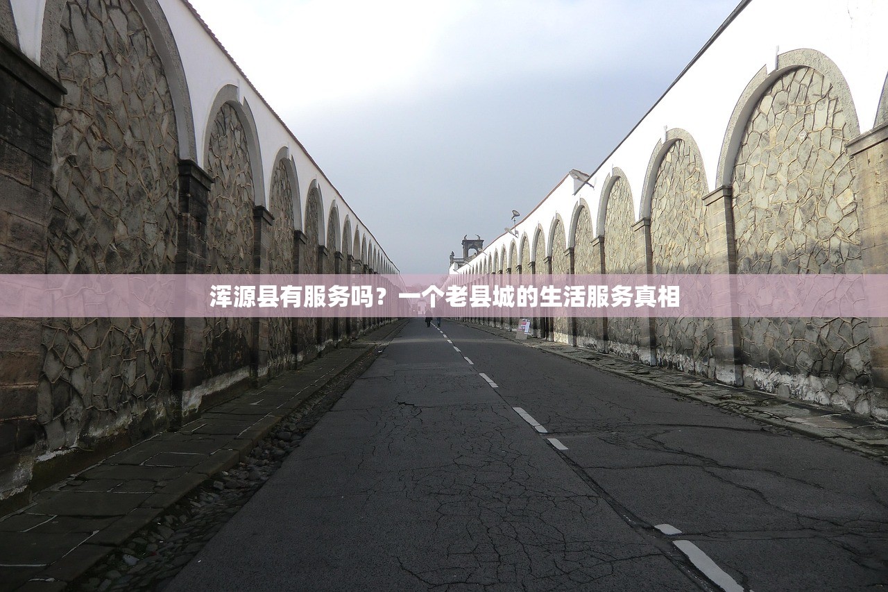 浑源县有服务吗？一个老县城的生活服务真相